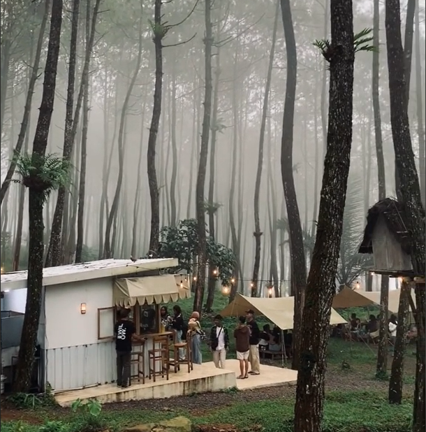 Willow Coffee Camp di Luxcamp Petungkriyo Wisata Pekalongan yang Lagi Viral di TikTok
